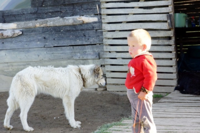 Foto uit het fotoalbum: reisverslagen